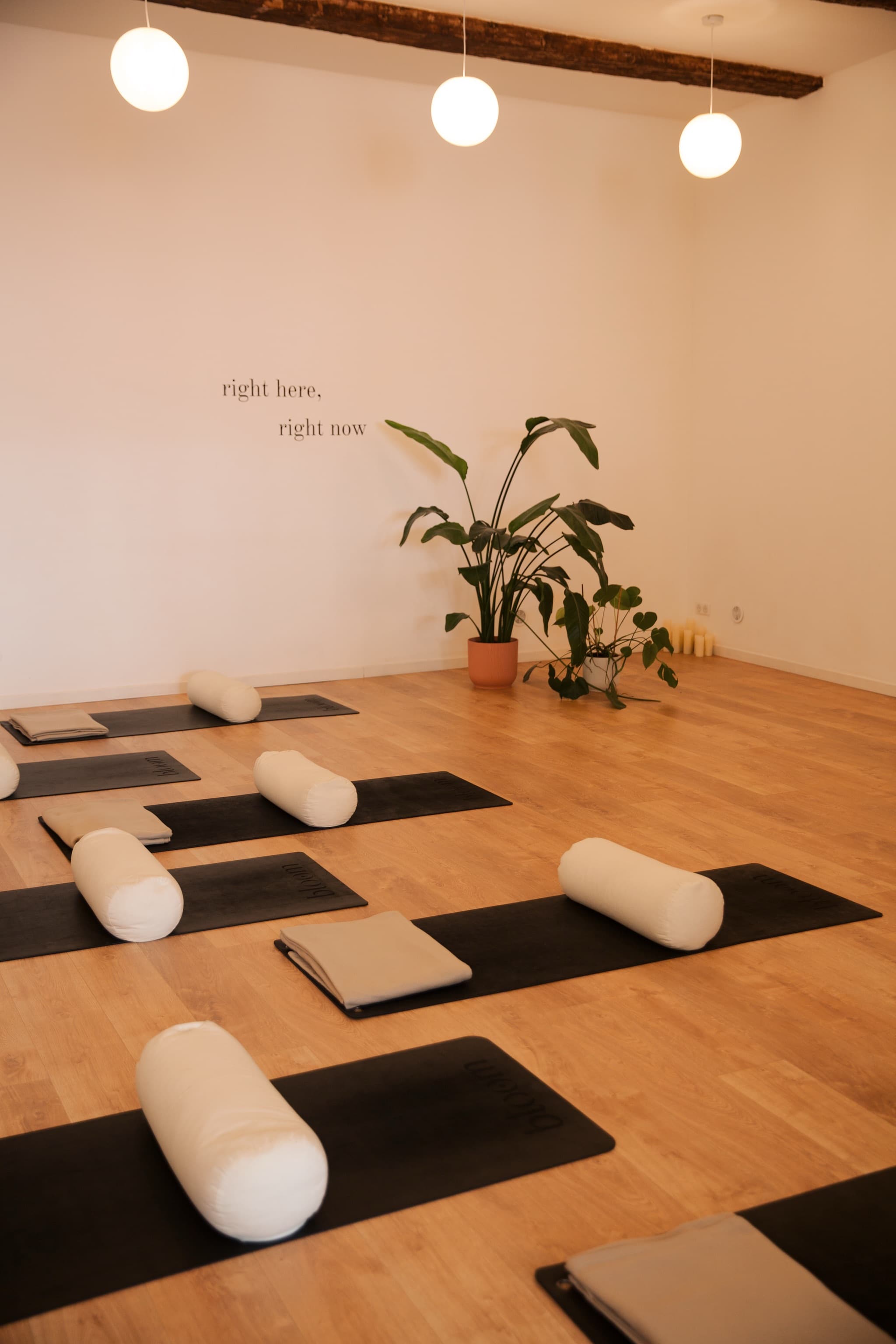 Le studio préparé pour une journée Inner Light : tapis, bolsters et plantes